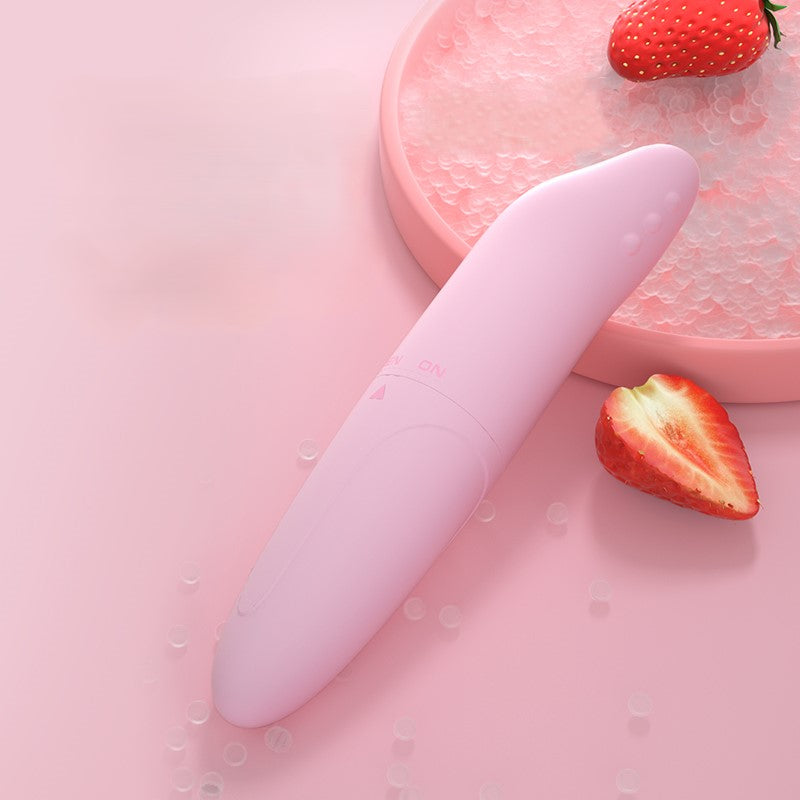 LILO Dolphin Vibrating Egg