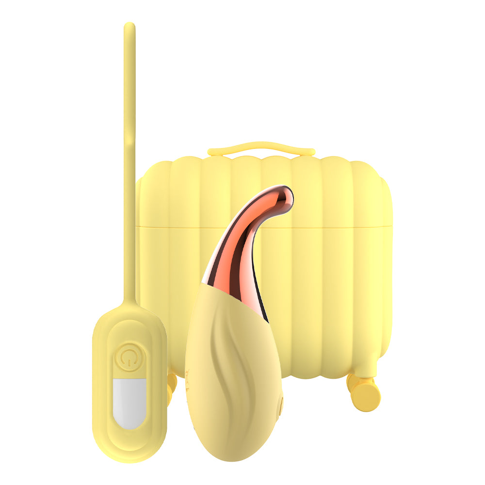 SHEYAY AirPod G-Spot Vibrator & Vibrating Egg App-Controlled