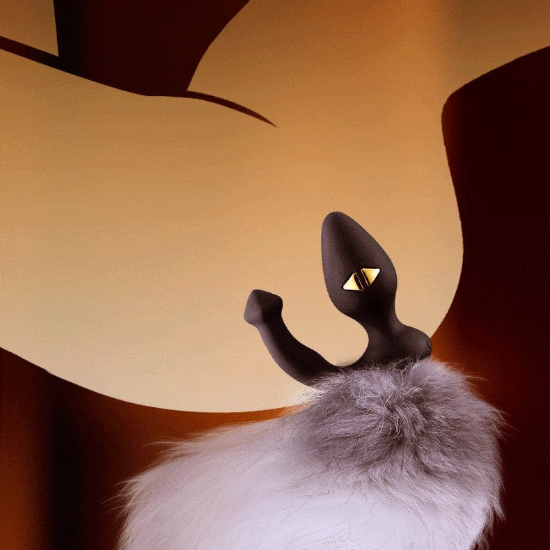 LOCKINK SM 遥控电击肛门塞