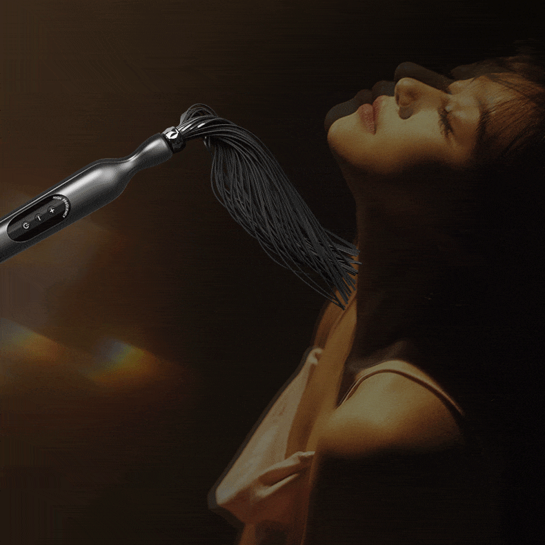 Roomfun Electric Shocking Whip for BDSM