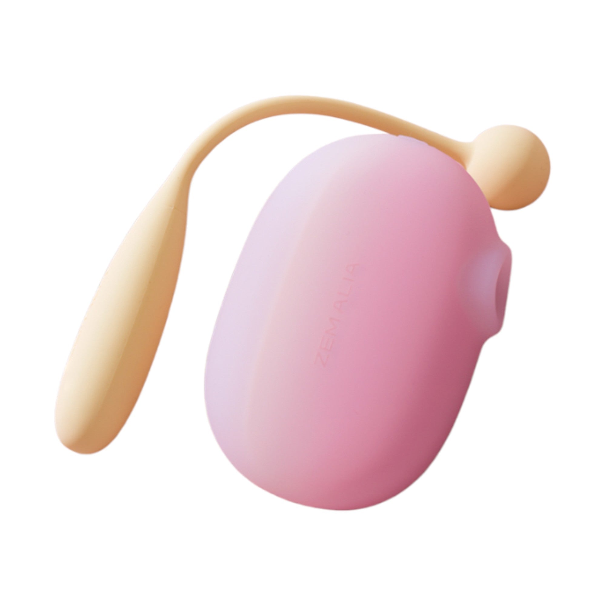 ZEMALIA Clit Sucker & Wearable Egg Vibrator Set Remote Controlled