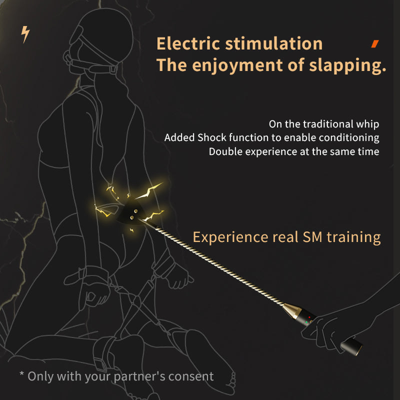 Roomfun Electric Shock BDSM Cane