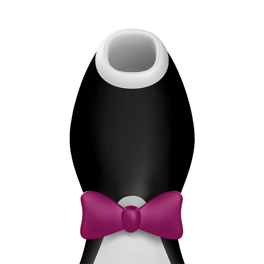 Satisfyer Pro Penguin Next Generation.